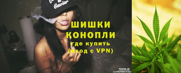 стафф Кулебаки