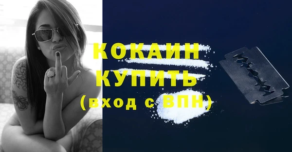 стафф Кулебаки