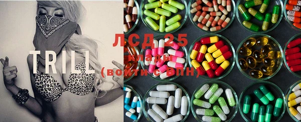 стафф Кулебаки