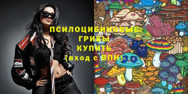 стафф Кулебаки
