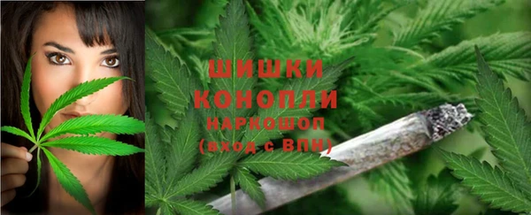 дживик Куйбышев
