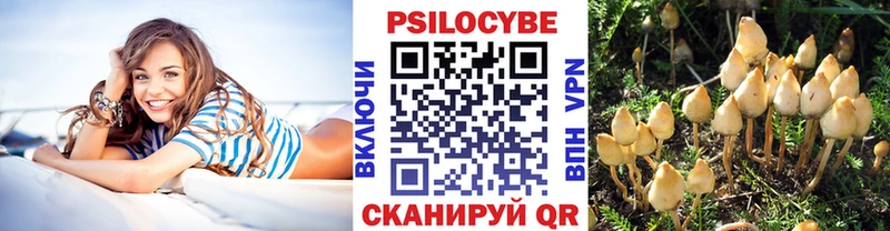 Псилоцибиновые грибы MAGIC MUSHROOMS Талица