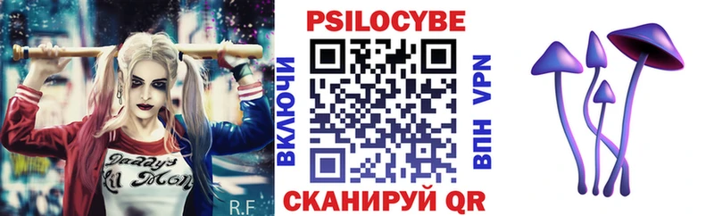 Псилоцибиновые грибы мицелий  закладки  Талица 
